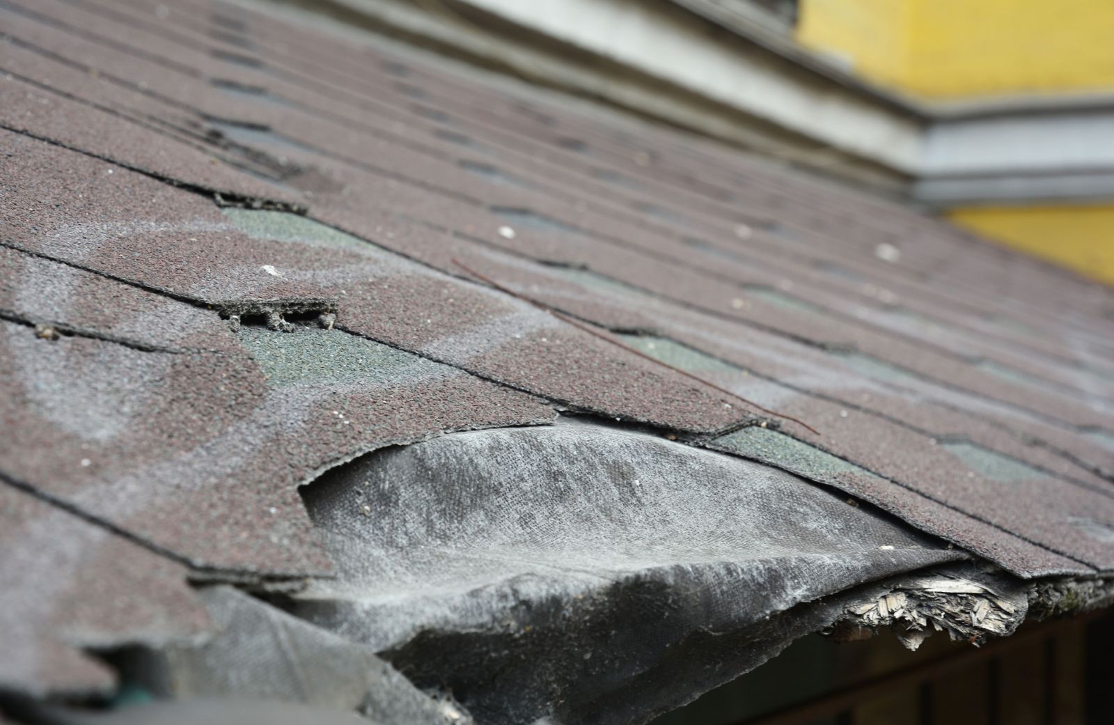 Francis Hand Roofing Images